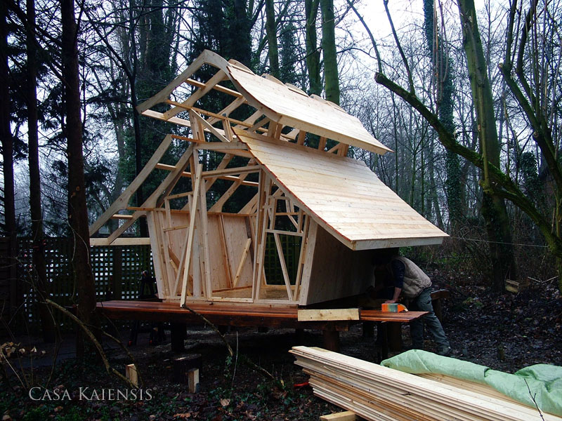 Casa Kaiensis Einzelstück Cpt'n Teague