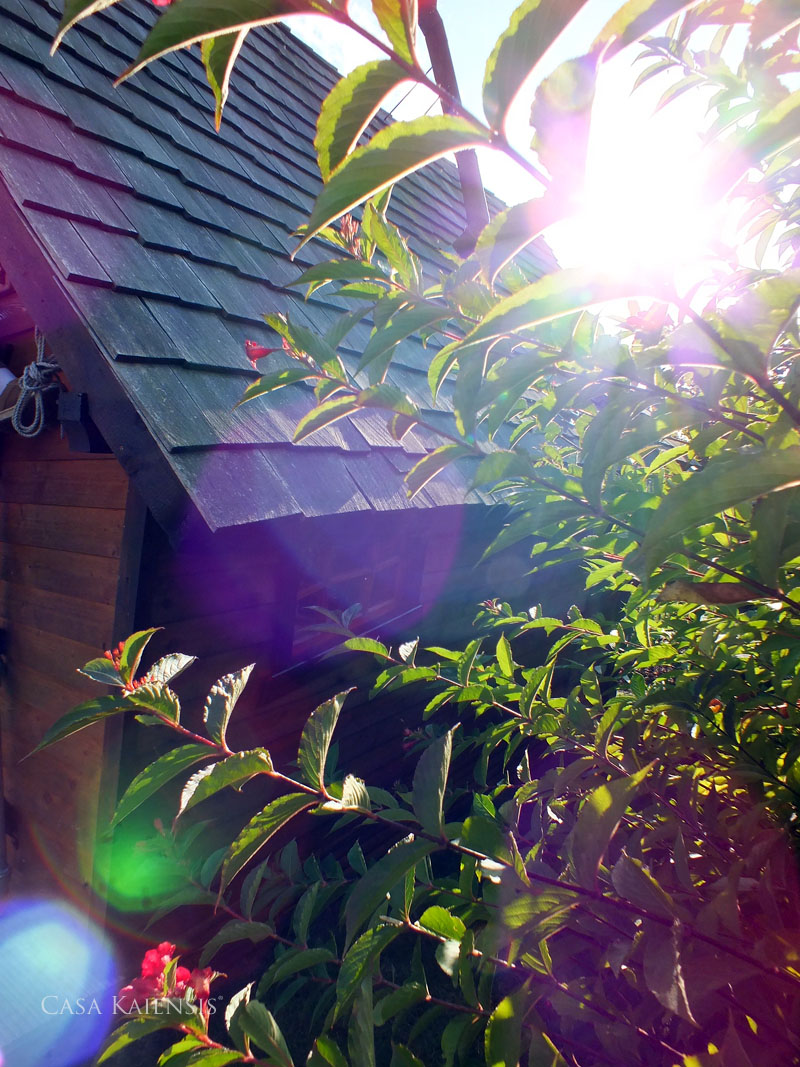 Casa Kaiensis Gartenhaus