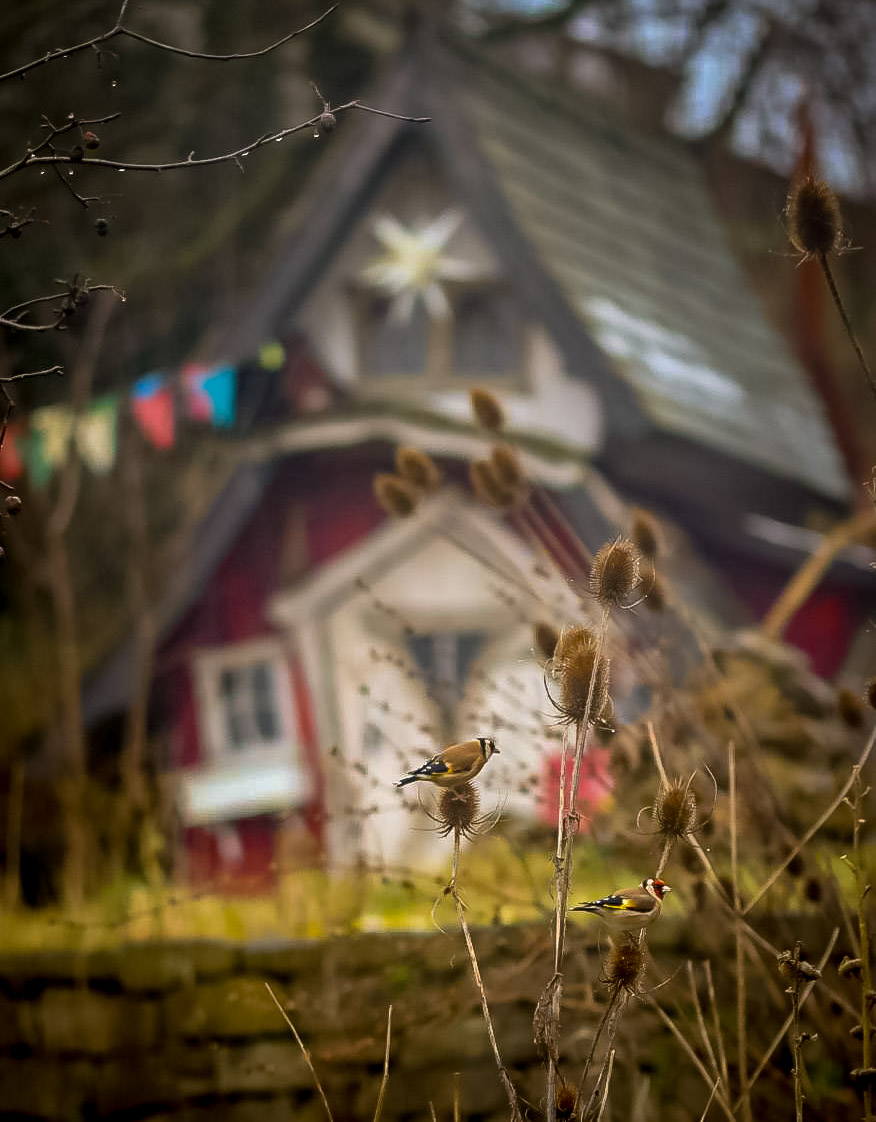Constanzes Kato Gartenhaus